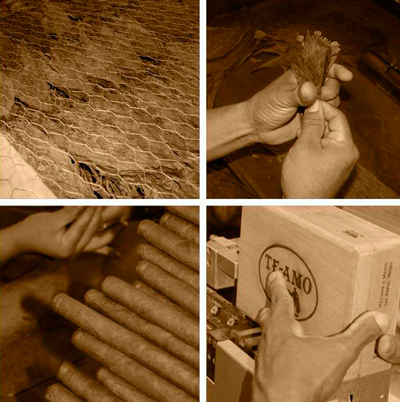 Процесс изготовления сигар Te-Amo