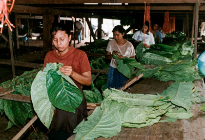 Фабрика Casa Fernandez (Никарагуа)